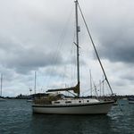 Richard Boyes - @saffron_of_kernow - Instagram