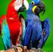 Richard Brader - Facebook