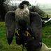 Richard Brain - Facebook