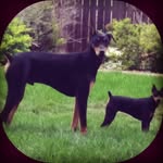 Richard Brim - @richard.brim.75 - Instagram