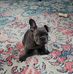 Richard Brinkman - Facebook