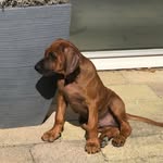 Richard Brouwer - @richardbrouwer46 - Instagram