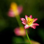 Richard Bruning - @rbg1965 - Instagram