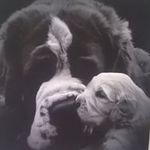 Richard Bryden - @brydenrichard - Instagram
