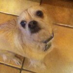 Buster Richard Vaughn - @busterrichardv8 - Instagram