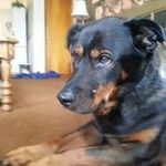 Richard Buzzelli - @buzz_buzzelli - Instagram