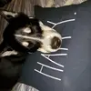 caleyrichards - @caleyrichards - TikTok