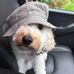 Richard Callaway - Facebook