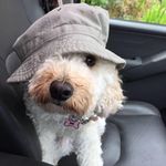 Richard Callaway - @old_tiler - Instagram