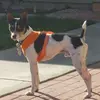 Richard Carlson - @richard.carlson92 - TikTok