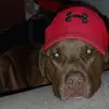 Richard Carlson - @richard.carlson78 - TikTok