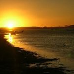 richardcasella - @richardcasella6614 - Instagram