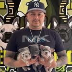 RICHARD CELIS - @el.imperio.frenchies.llc - Instagram