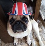 Richard Challoner - Facebook