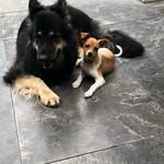 Richard Charvat - @richard_charvat - Instagram