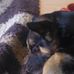 Richard Chetwood - Facebook