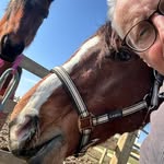 Richard Clegg - @richardclegg3764 - Instagram