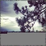 Emi Pecora - @richardcobyvqm - Instagram
