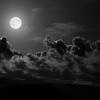 richard coby - @richard.coby - TikTok