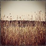 Richard Coby - @strickerkassyze - Instagram