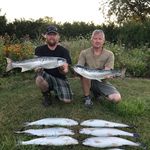 Richard Collison - @richard_collison - Instagram