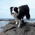 Buddy Comrie-Richards - @buddycomrierichards - Instagram