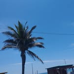 Richard Congo - @sssm1314354265 - Instagram