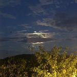 Richard Constable - @richieconst37 - Instagram