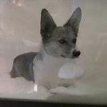 Richard Constable - @richard.constable - Instagram