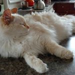 Richard Cordray - @cordrayrichard - Instagram
