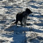Richard Cottrill - @richardcottrill123 - Instagram