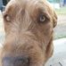 Richard Cragg - Facebook