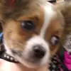 Richard cremeans - @richardcremeans7879 - TikTok