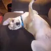 Richard Cremeans - @richard.cremeans0 - TikTok