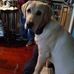 Richard Cripps - Facebook