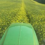 Richard Cripps - @rcripps72 - Instagram