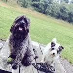 richard crompton - @richard_crompton - Instagram