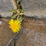 Richard Cronk - @rfcronk - Instagram