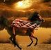 Richard Crowe - Facebook