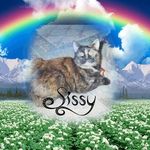 Richard L. Crowell - @furdaddy4cats - Instagram