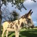 Rick Crownover - Facebook