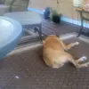 Richard Culbreth - @richard.culbreth - TikTok