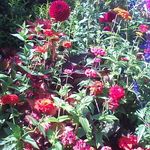 Richard Cully - @richard.cully.334 - Instagram