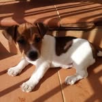 Richard Culotta - @richardculotta - Instagram