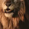 Richard Cushing - @richard.cushing46 - TikTok