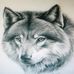 Richard Cutshall - Facebook
