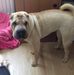 Richard Cutts - Facebook