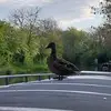 Richard Cutts - @richard.cutts7 - TikTok