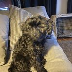 Rick Czerwonka - Facebook