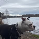 Richard Dacey - @richard.dacey.3 - Instagram